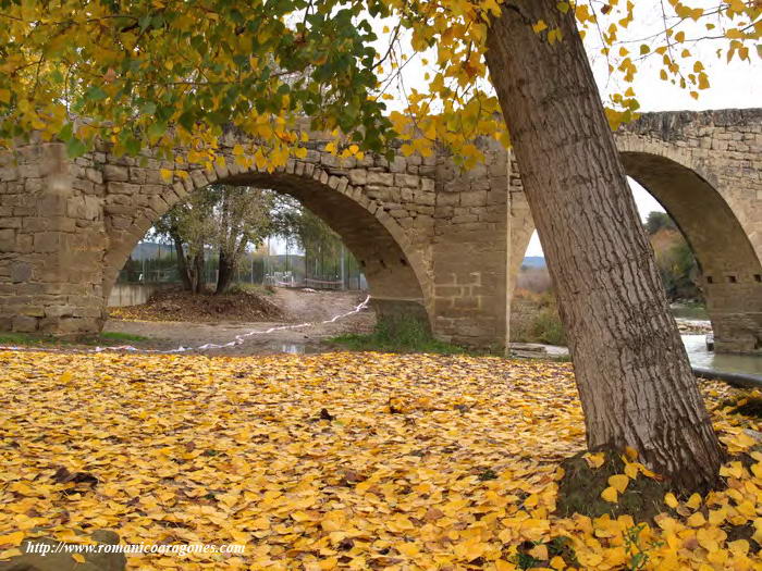 VISTA GENERAL AGUAS ABAJO